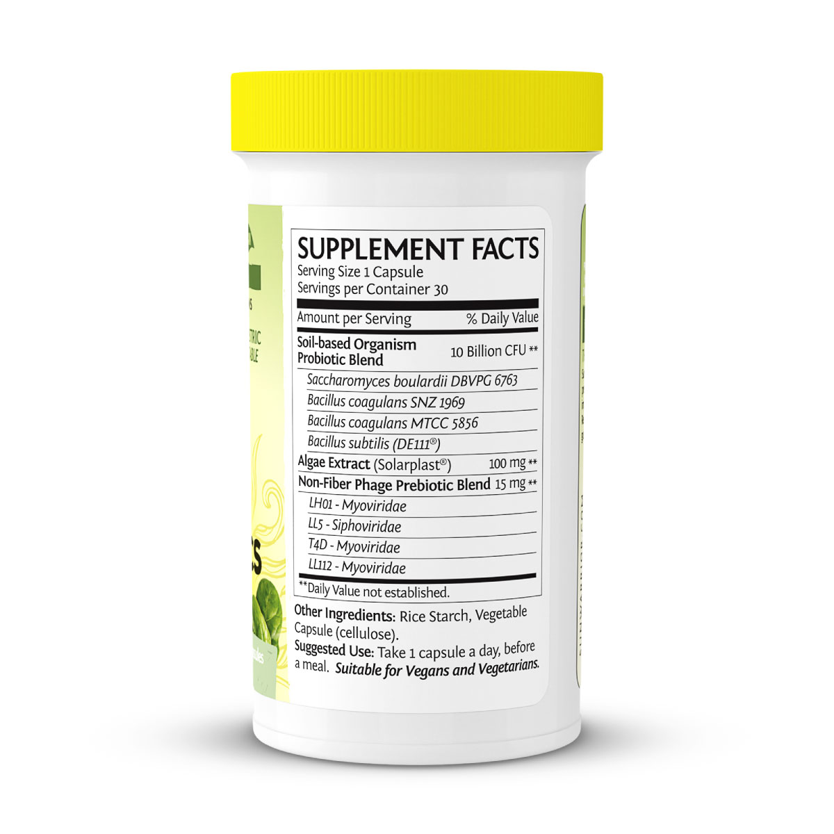 USA-Probiotics-30ct-Right-Developed